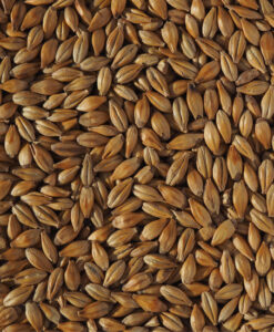 cara_gold_malt_ebc_12_16_-550x550